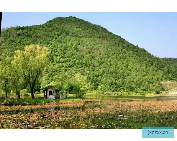 沉醉“色婷婷婷婷”：一场感官的盛宴，一次心灵的触动